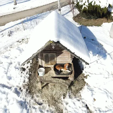 Schoene Im Naturpark Grebenzen * Sankt Lambrecht