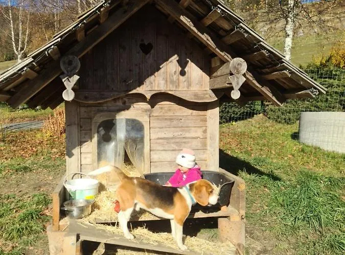 Schoene Im Naturpark Grebenzen