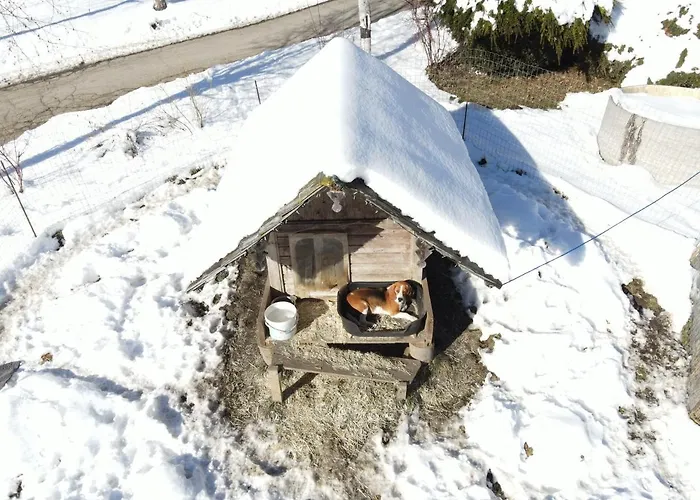 Schoene Im Naturpark Grebenzen * Sankt Lambrecht